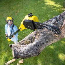 Best Hedge Trimming  in Stlman Valley, IL