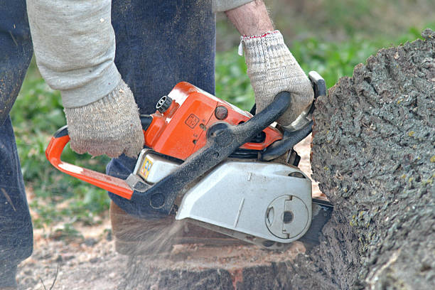 Best Weed Control  in Stlman Valley, IL